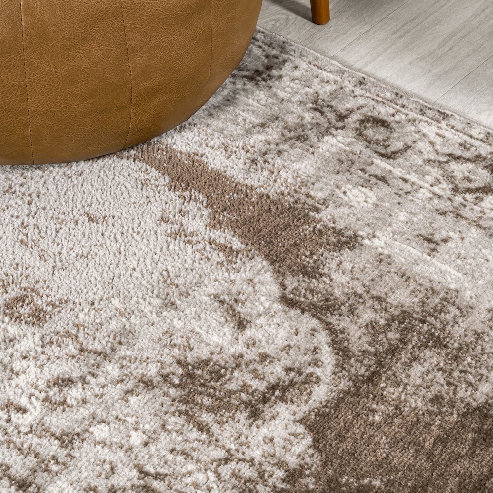 Rosalia Cottage Medallion Area Rug. Picture 5