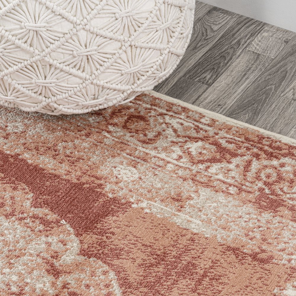 Kelly Rosalia Cottage Medallion Area Rug. Picture 7