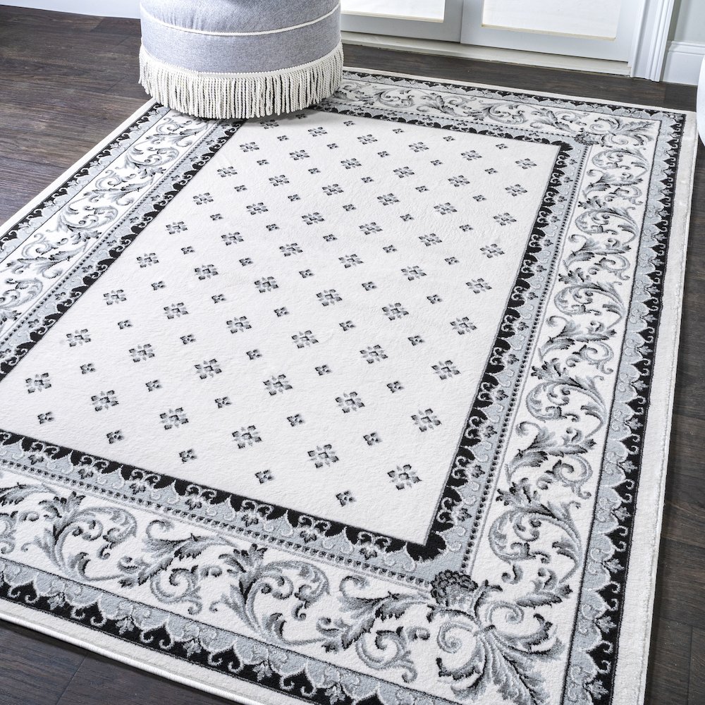Acanthus French Border Area Rug. Picture 2