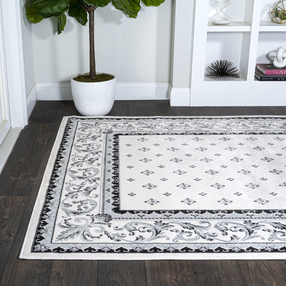 Acanthus French Border Area Rug. Picture 3