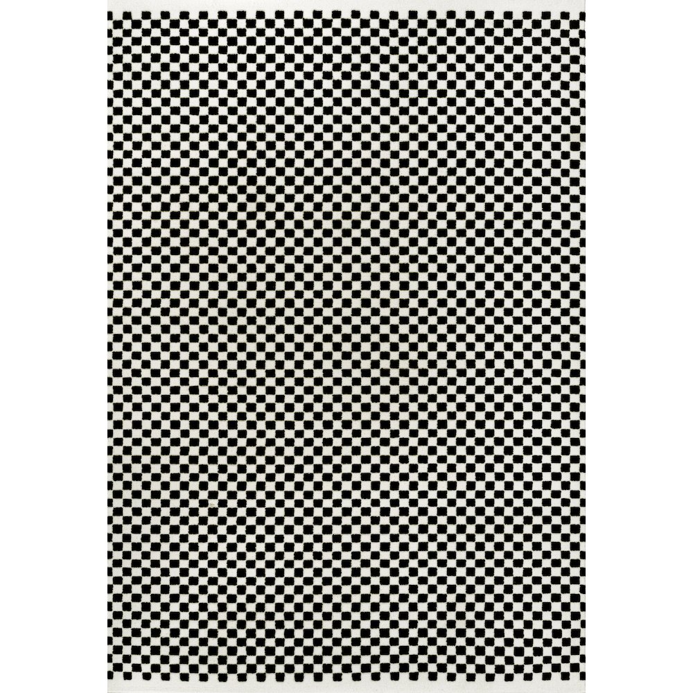 Finn High-Low Modern Minimalist Checkered Monotone Black/White Area Rug. Picture 1