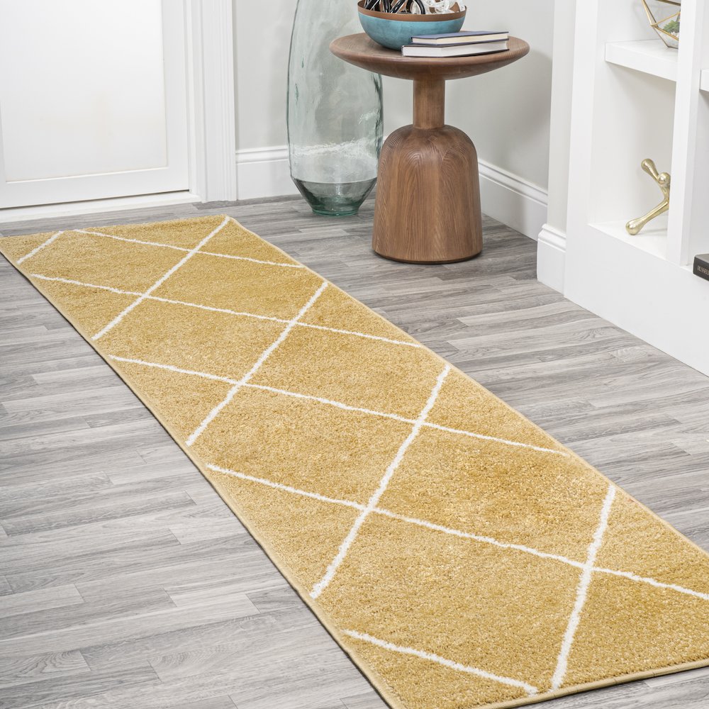 Cole Minimalist Diamond Trellis Area Rug. Picture 16