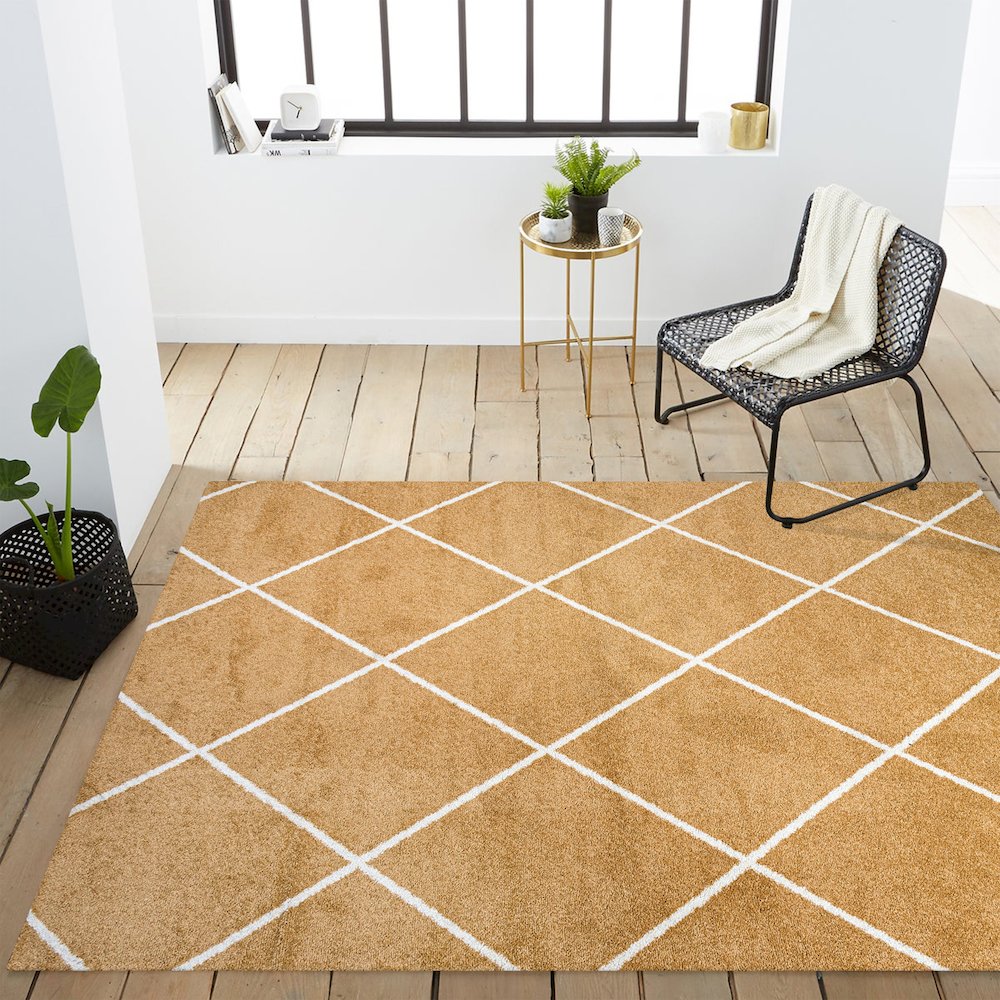 Cole Minimalist Diamond Trellis Area Rug. Picture 12