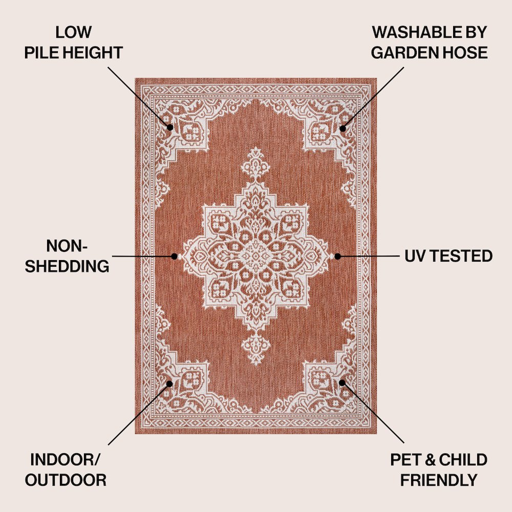 Vintage Casual Medallion Terra/Cream 8 ft. x 10 ft. Indoor/Outdoor Area Rug. Picture 4