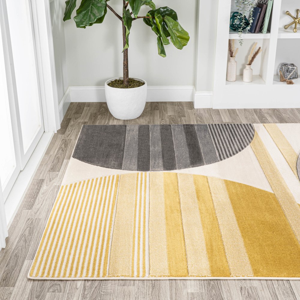 Nicky Geometric Striped Circles Area Rug. Picture 3