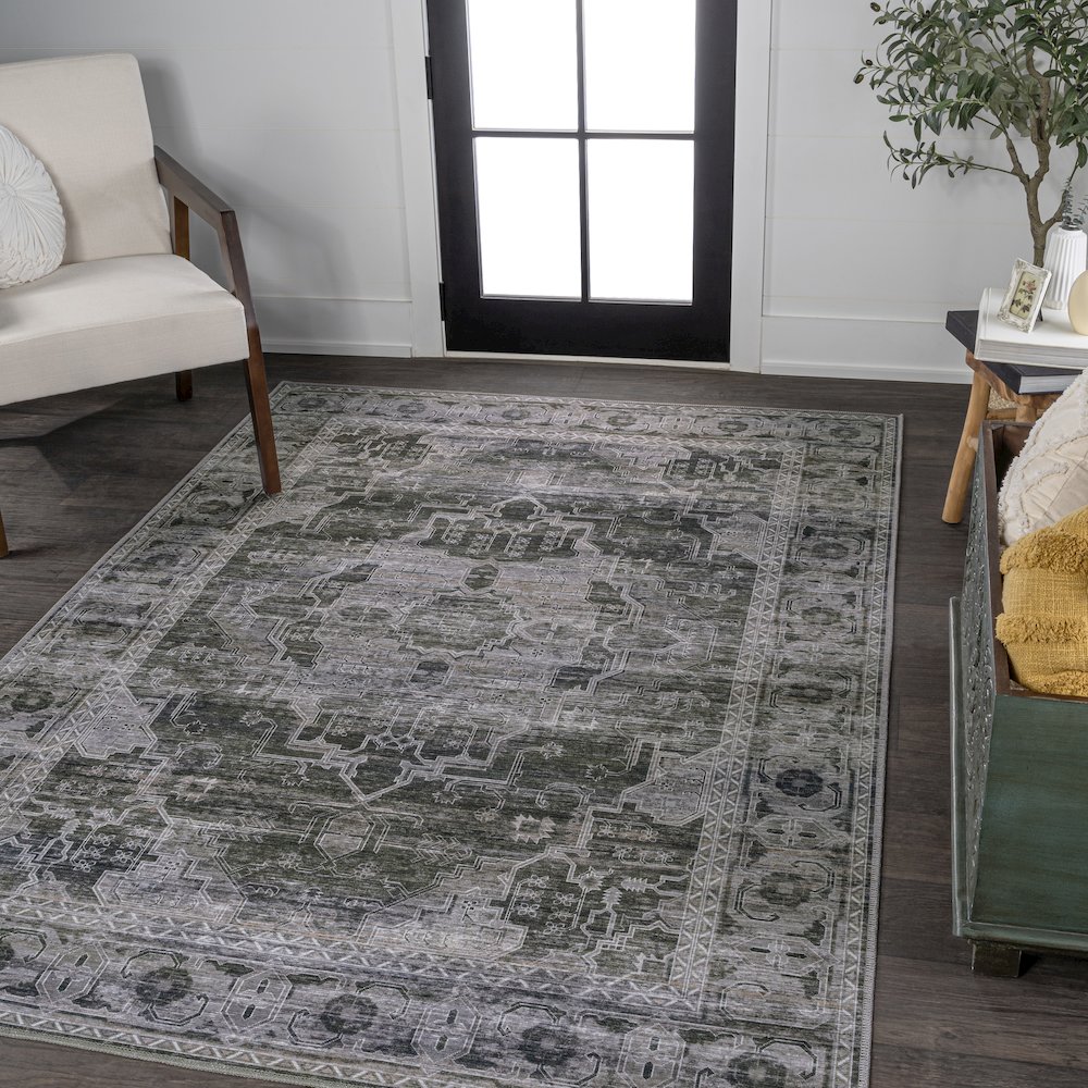 Alanya Ornate Medallion Machine-Washable Area Rug. Picture 1