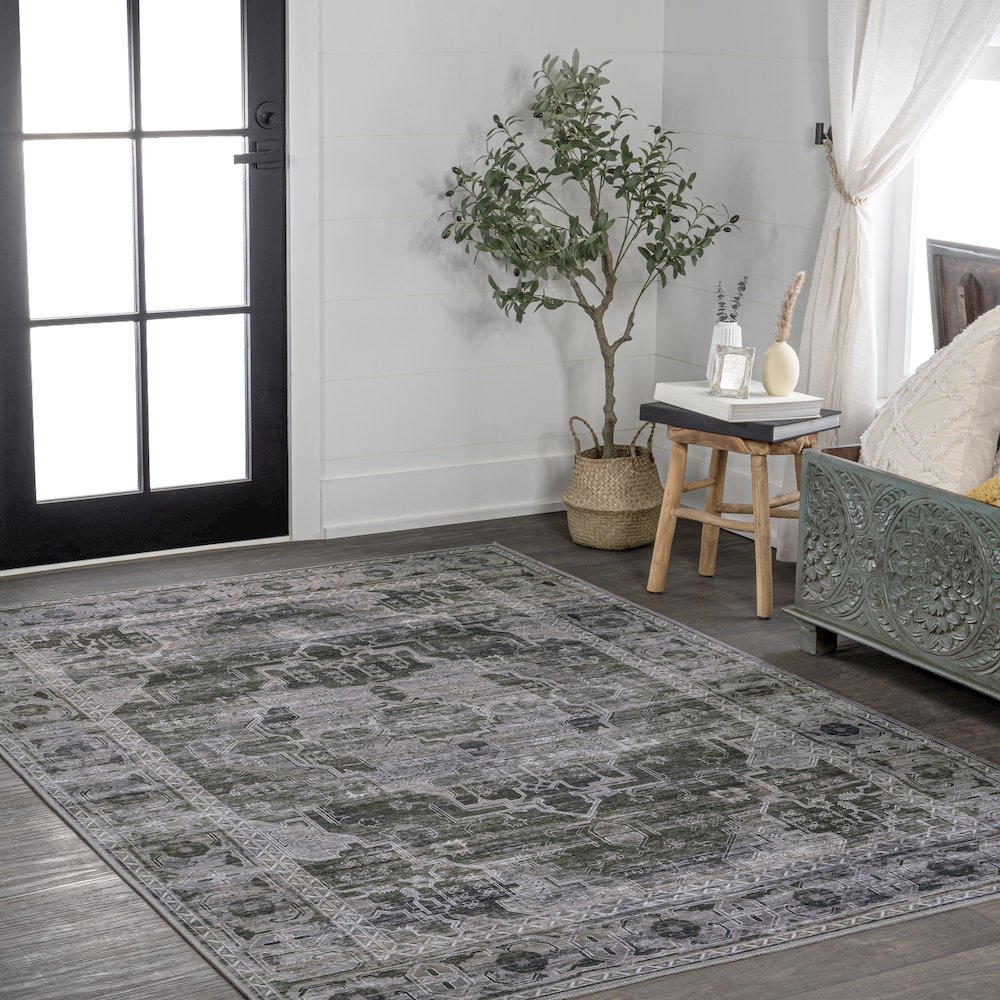 Alanya Ornate Medallion Machine-Washable Area Rug. Picture 4