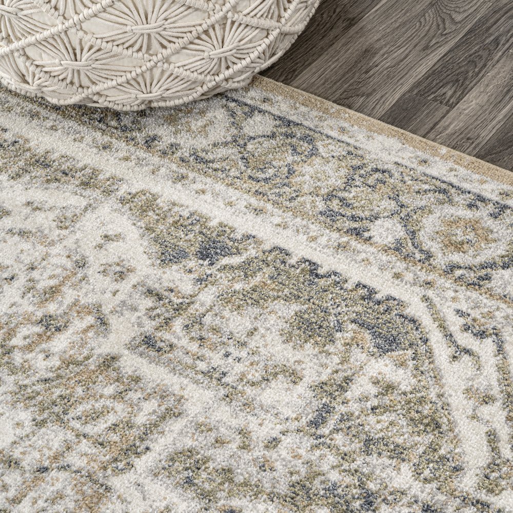 Edith Distressed Medallion Low-Pile Machine-Washable Area Rug. Picture 5