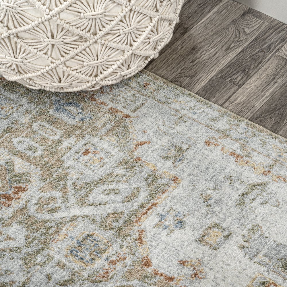 Shaemus Bohemian Medallion Low-Pile Machine-Washable Area Rug. Picture 5
