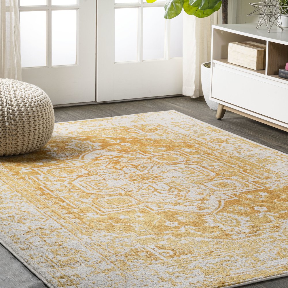 Audrey Bohemian Ornate Medallion Area Rug. Picture 2