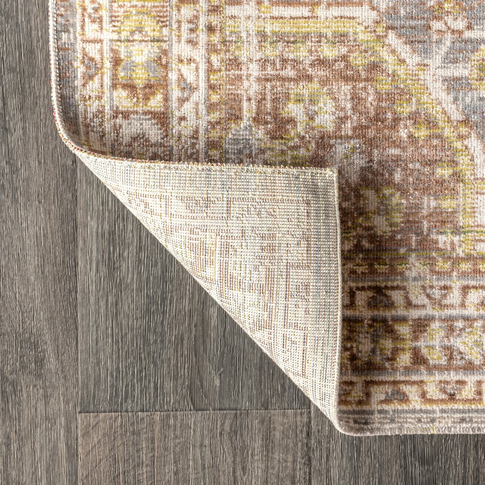 Petras Modern Ornate Medallion Area Rug. Picture 5