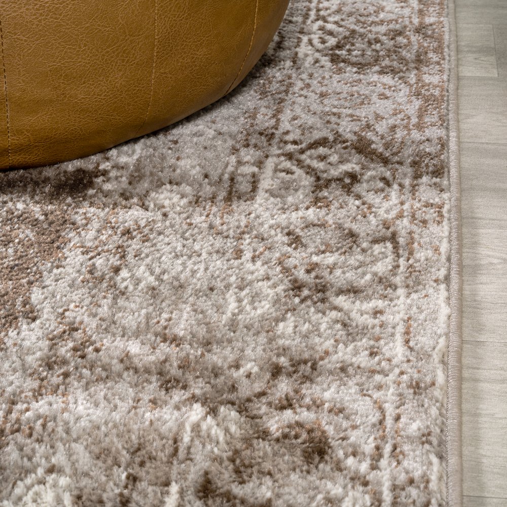Rosalia Cottage Medallion Area Rug. Picture 5