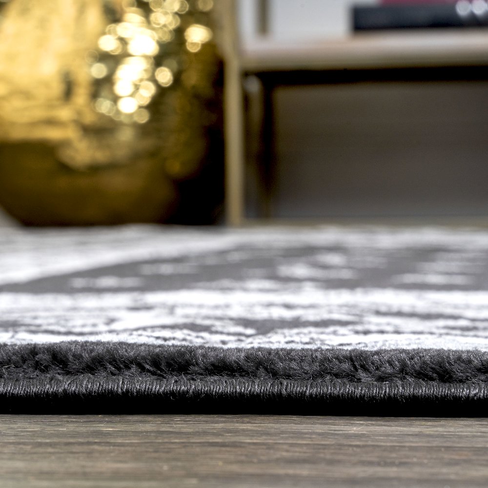 Acanthus French Border Area Rug. Picture 11