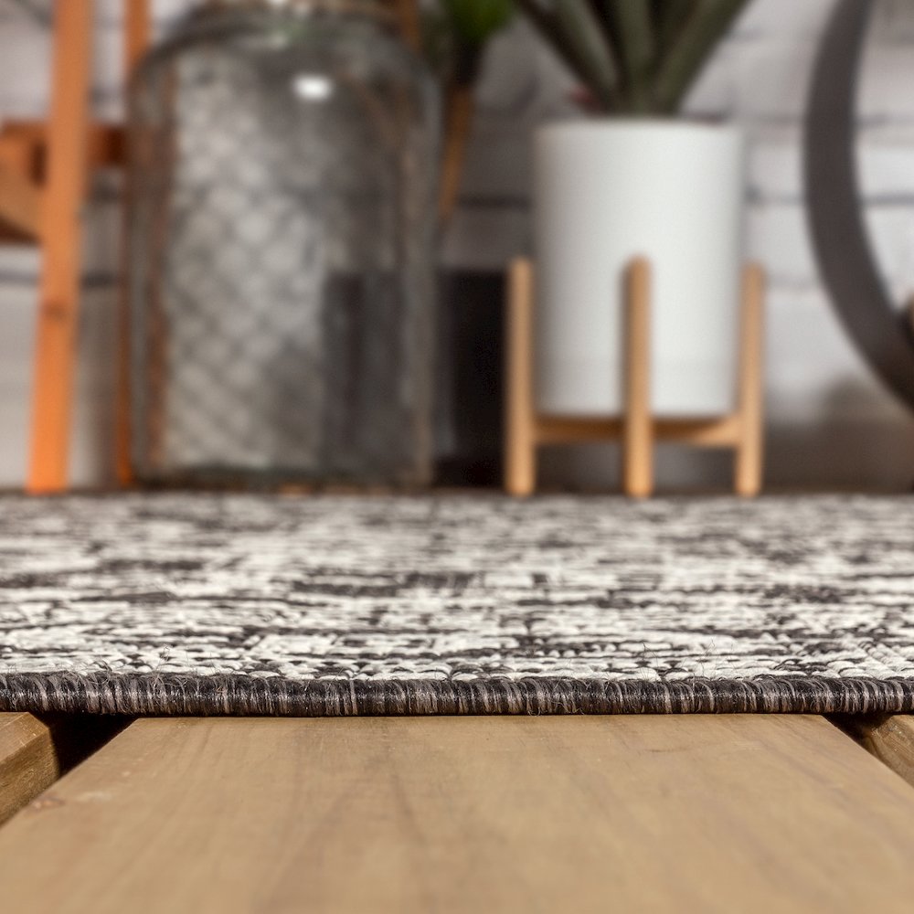 Sinjuri Medallion Textured Weave Indoor/Outdoor Area Rug. Picture 12