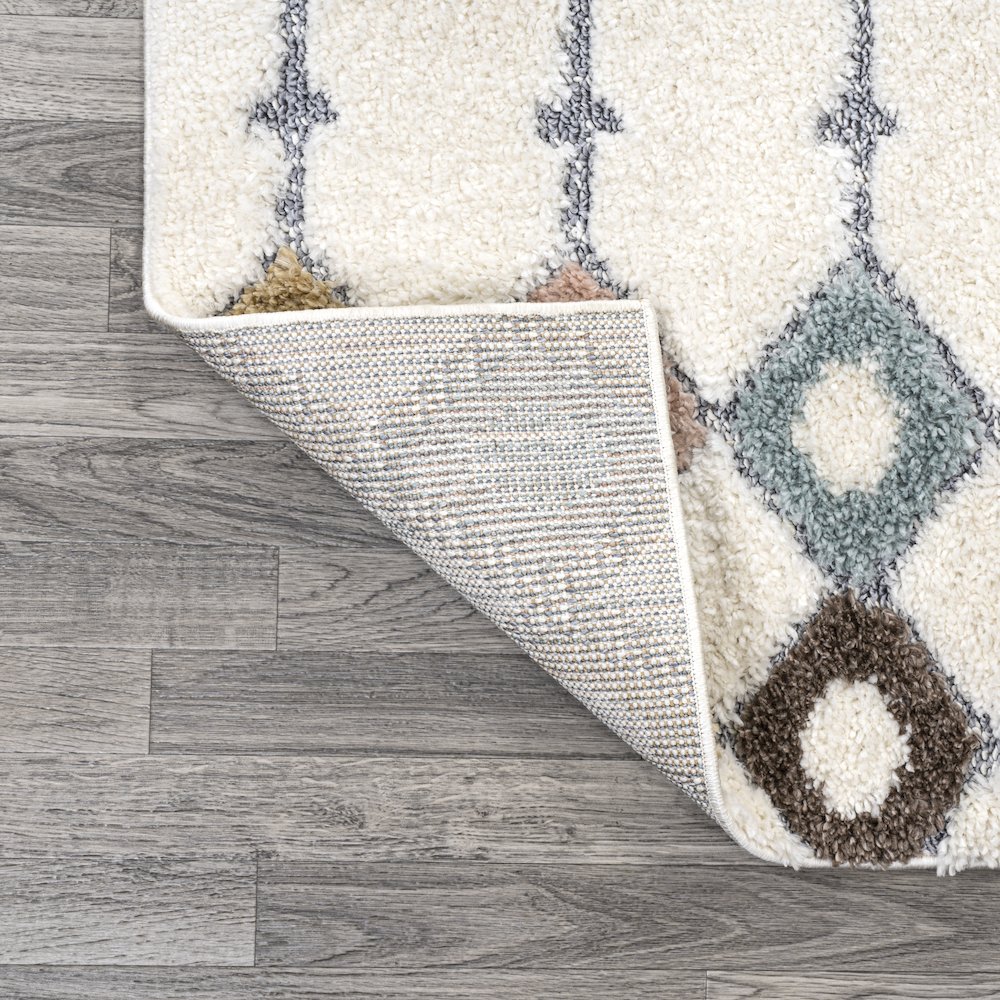Pia Moroccan Trellis Plush Carved Area Rug. Picture 6