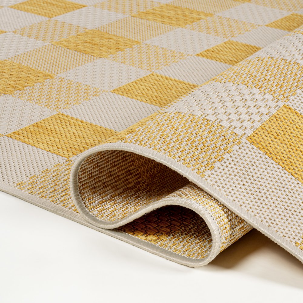 Darcy Traditional Geometric Bold Gingham Indoor/Outdoor Area Rug. Picture 4