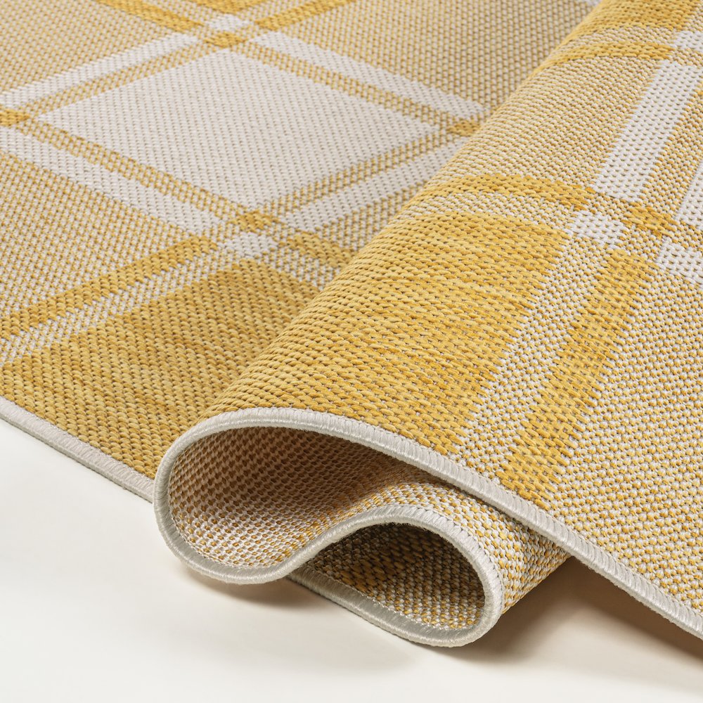 Sabine Traditional Farmhouse Bold Gingham Indoor/Outdoor Area Rug. Picture 4