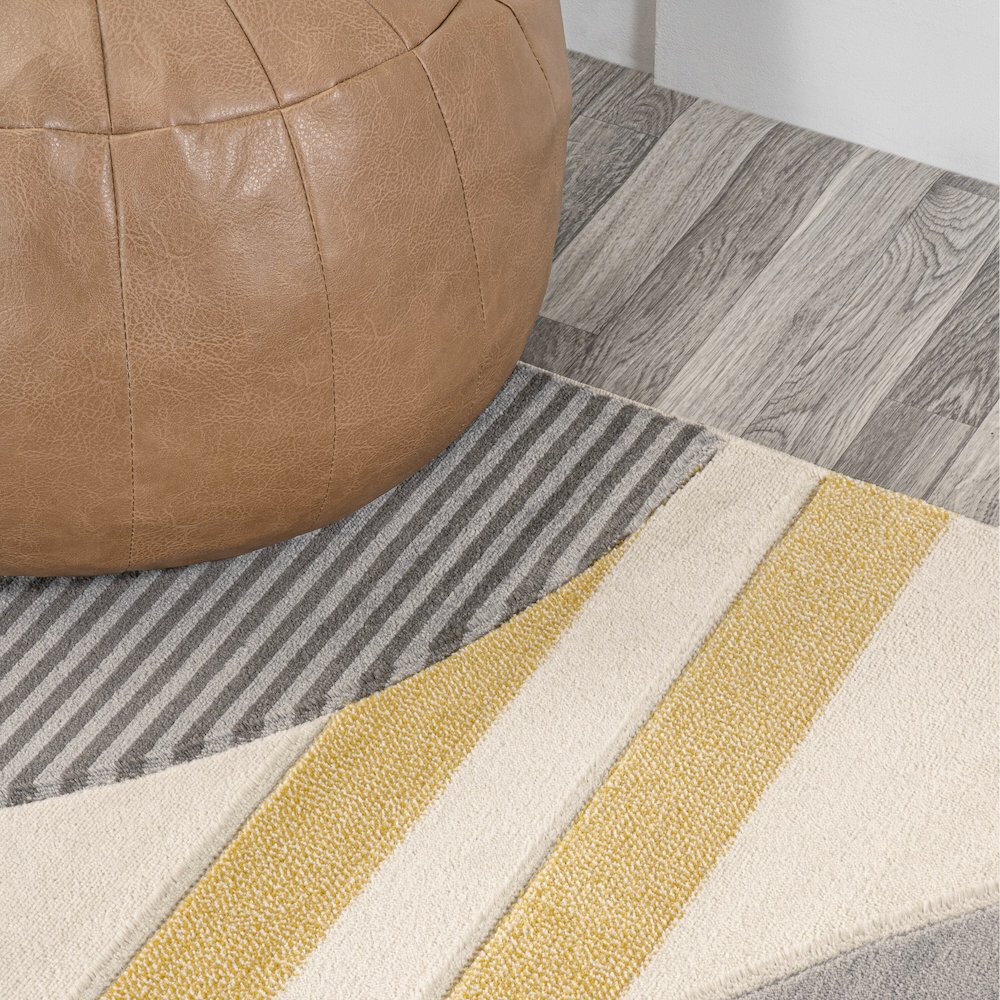Nicky Geometric Striped Circles Area Rug. Picture 7