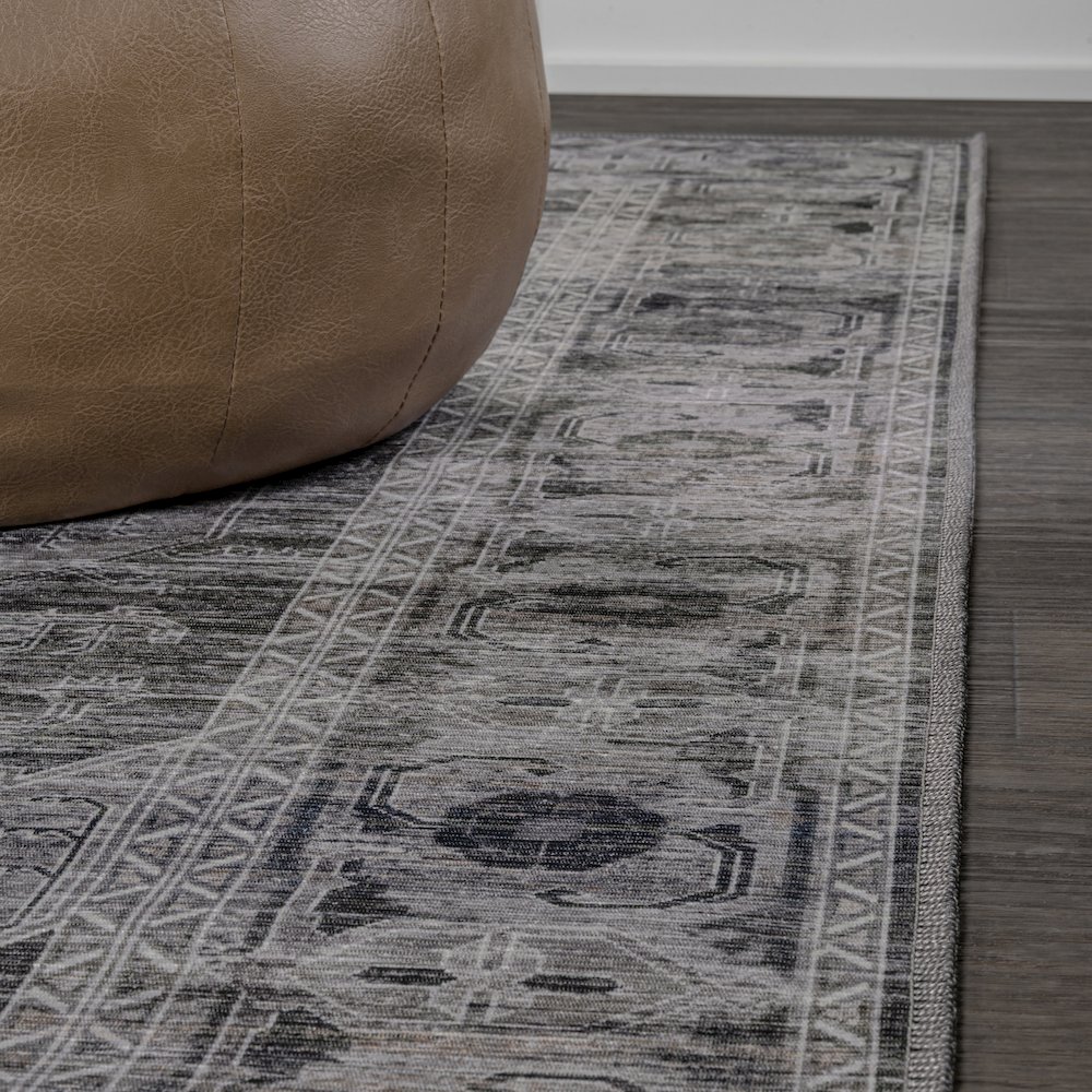 Alanya Ornate Medallion Machine-Washable Area Rug. Picture 5