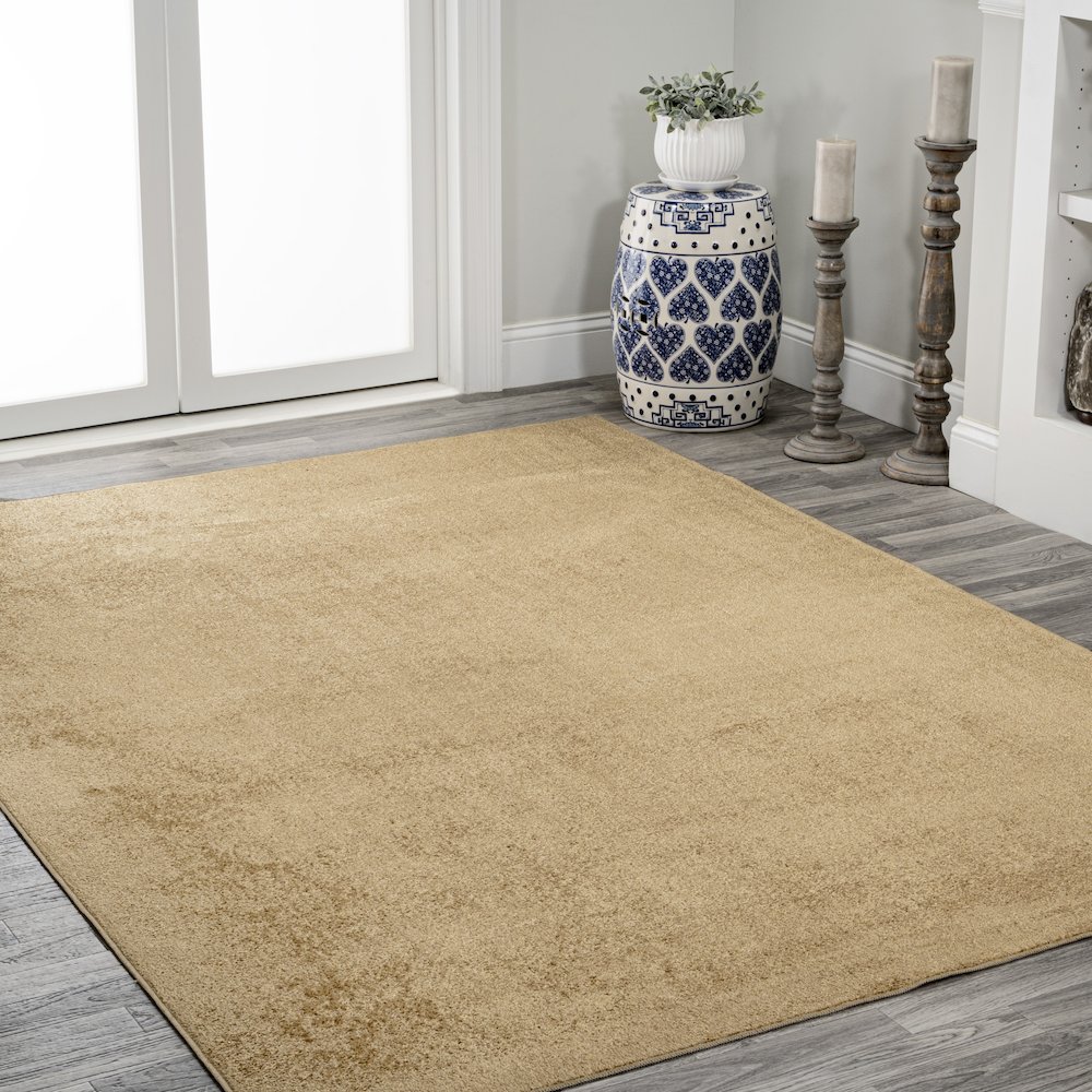 Twyla Classic Solid Low-Pile Machine-Washable Area Rug. Picture 3