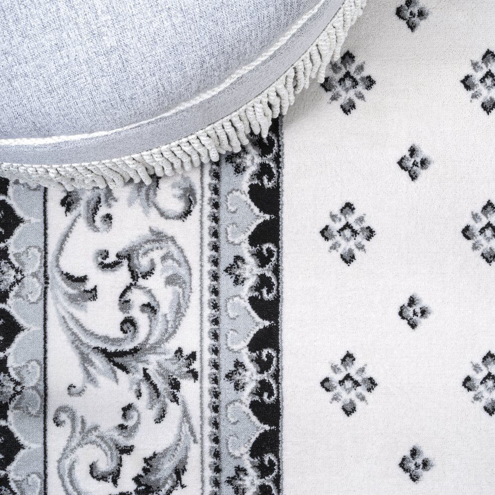 Acanthus French Border Area Rug. Picture 7