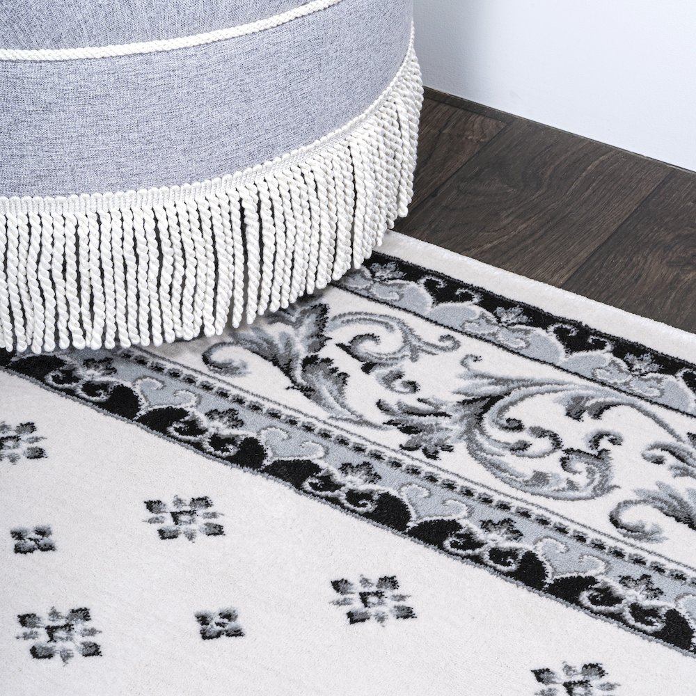Acanthus French Border Area Rug. Picture 8