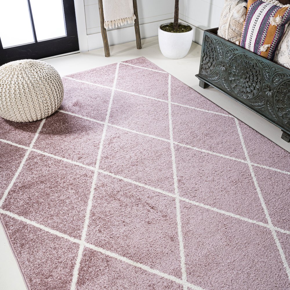 Cole Minimalist Diamond Trellis Area Rug. Picture 25