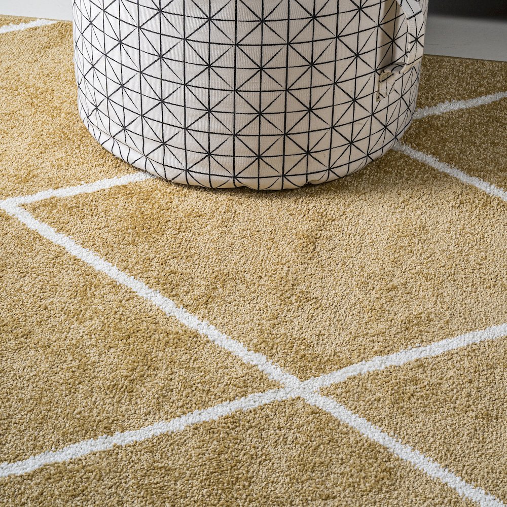 Cole Minimalist Diamond Trellis Area Rug. Picture 5