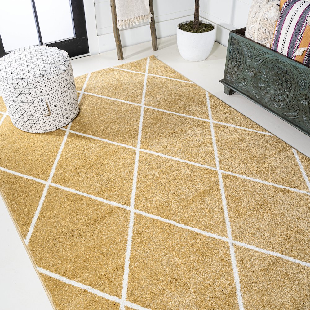 Cole Minimalist Diamond Trellis Area Rug. Picture 25