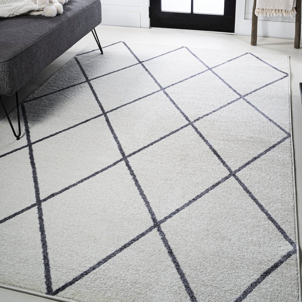 Cole Minimalist Diamond Trellis Area Rug. Picture 24