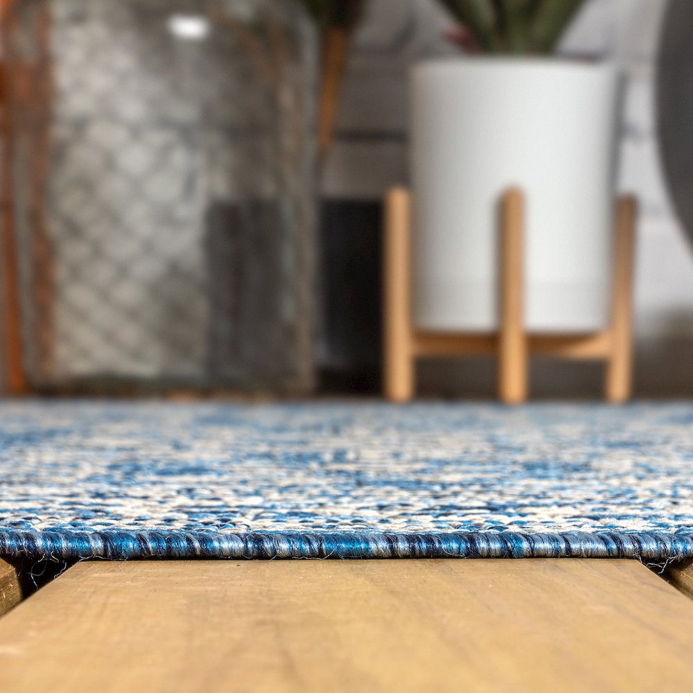 Sinjuri Medallion Textured Weave Indoor/Outdoor Area Rug. Picture 9