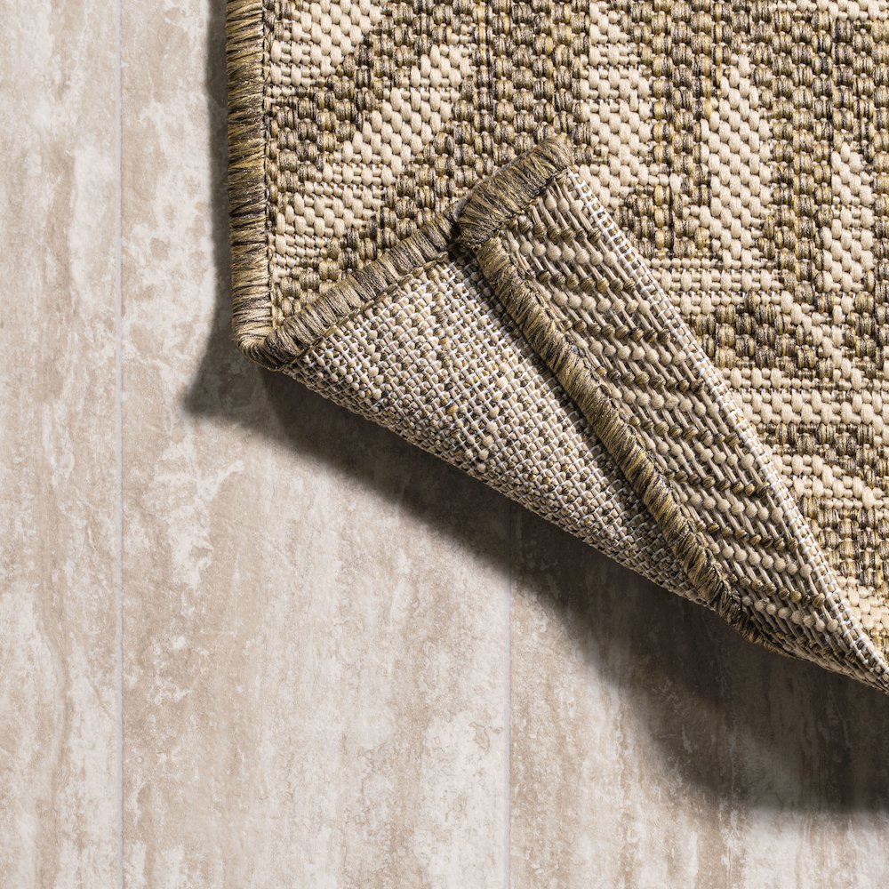 Nevis Palm Frond Indoor/Outdoor Area Rug. Picture 3