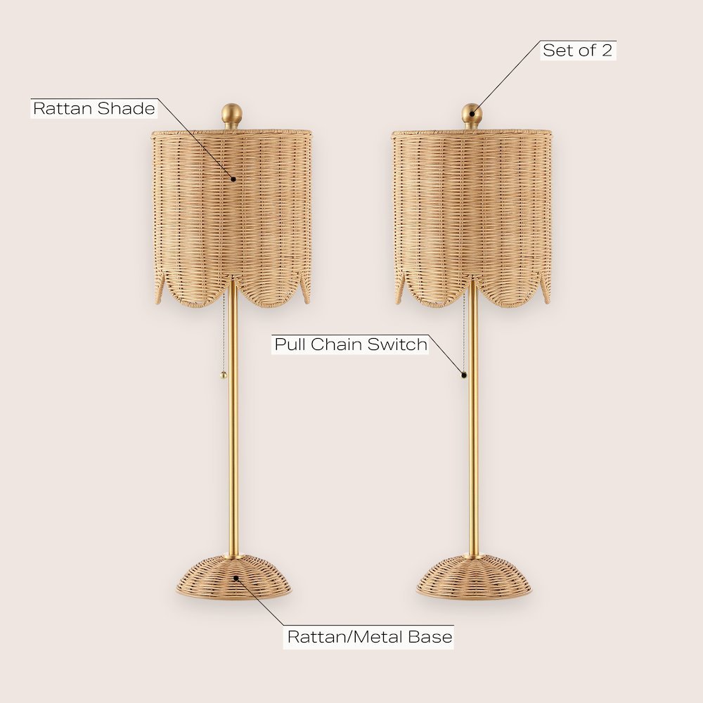 Celerie Coastal Bohemian Rattan/Iron Scalloped Buffet Led Table Lamp. Picture 5