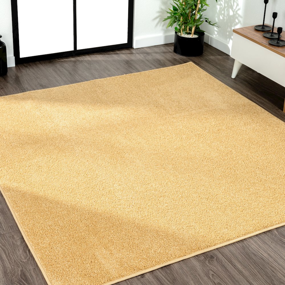 Haze Solid Low-Pile Area Rug. Picture 13