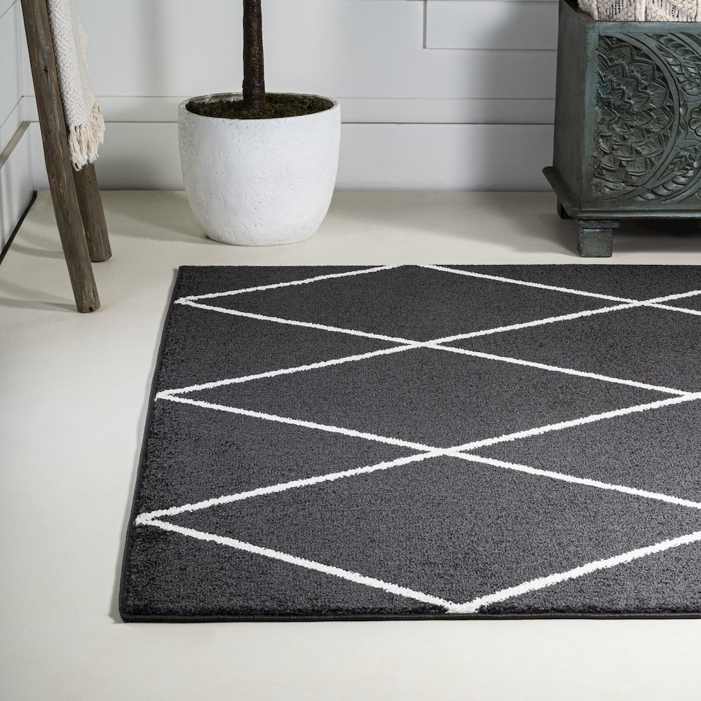 Cole Minimalist Diamond Trellis Area Rug. Picture 16
