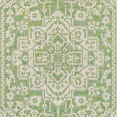 Sinjuri Medallion Textured Weave Indoor/Outdoor Area Rug. Picture 12