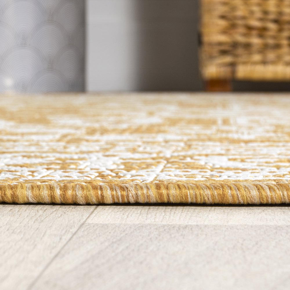 Sinjuri Medallion Textured Weave Indoor/Outdoor Area Rug. Picture 9