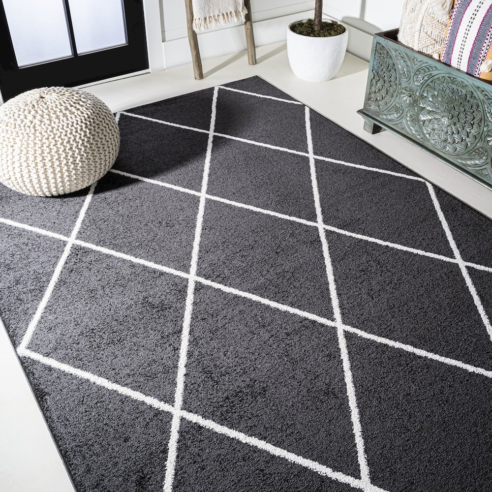 Cole Minimalist Diamond Trellis Area Rug. Picture 25