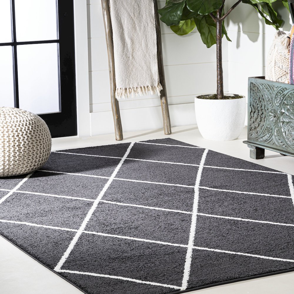 Cole Minimalist Diamond Trellis Area Rug. Picture 26