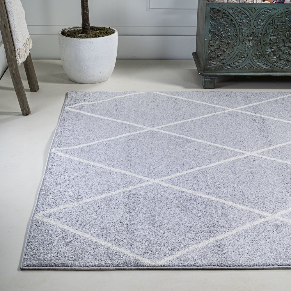 Cole Minimalist Diamond Trellis Area Rug. Picture 16