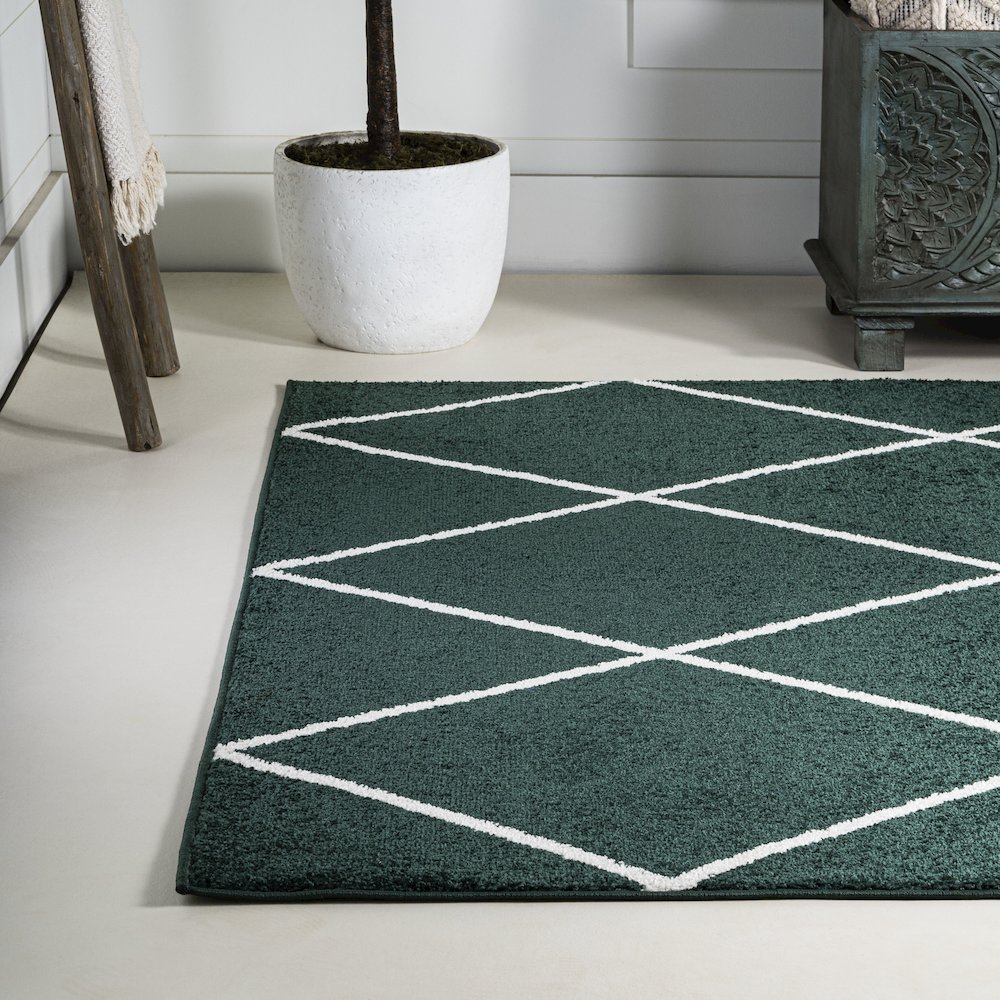 Cole Minimalist Diamond Trellis Area Rug. Picture 16