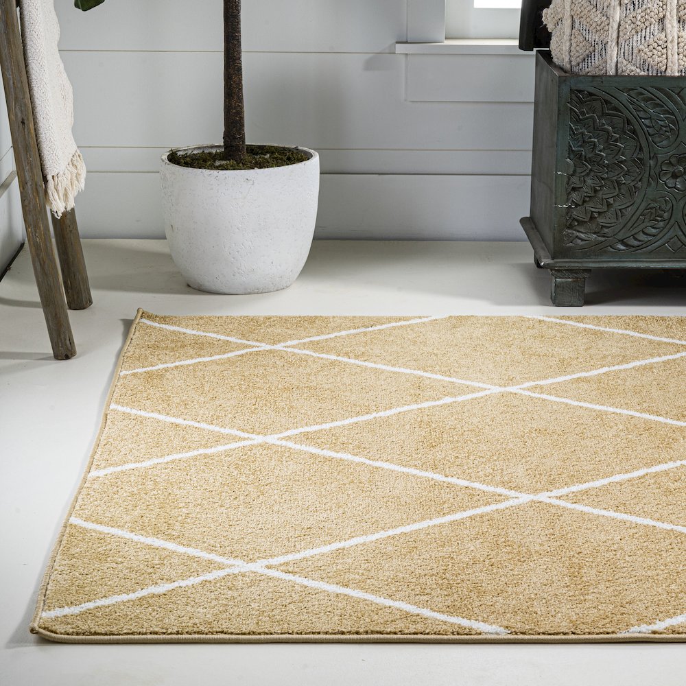 Cole Minimalist Diamond Trellis Area Rug. Picture 16