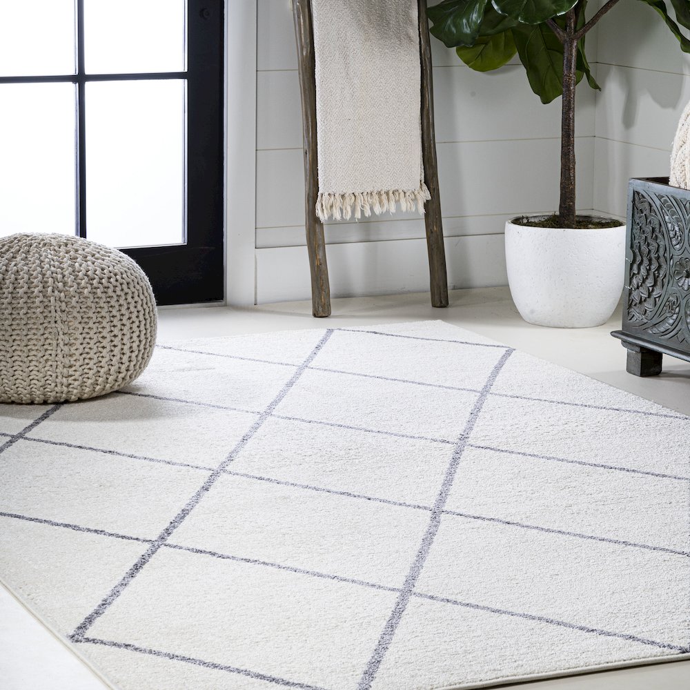 Cole Minimalist Diamond Trellis Area Rug. Picture 26