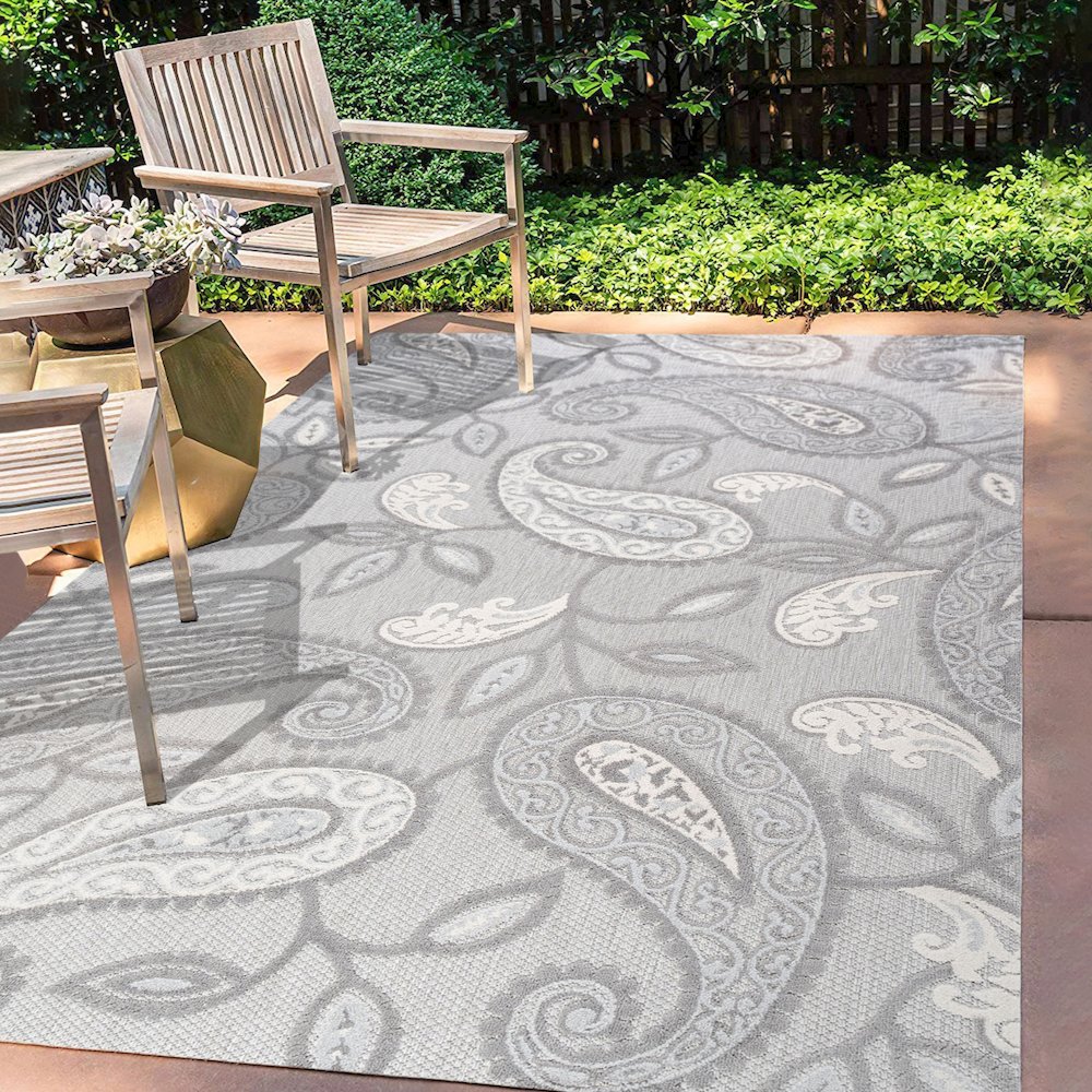 Julien Paisley High-Low Indoor/Outdoor Area Rug. Picture 6