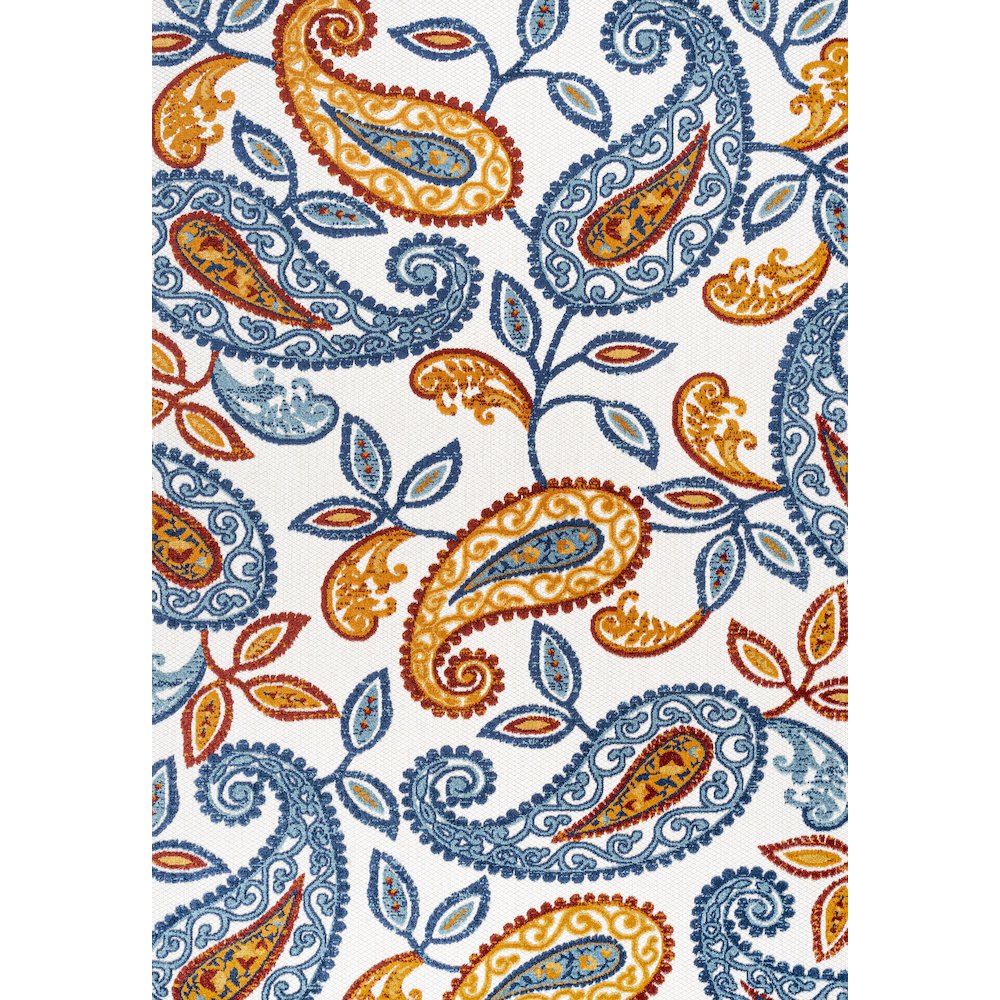 Julien Paisley High-Low Indoor/Outdoor Area Rug. Picture 1