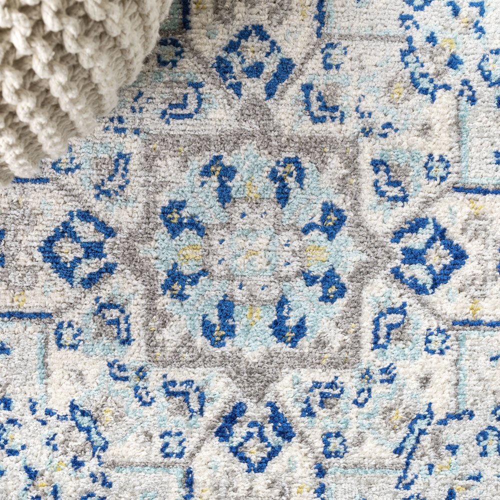 Inigo Cottage Medallion Area Rug. Picture 4