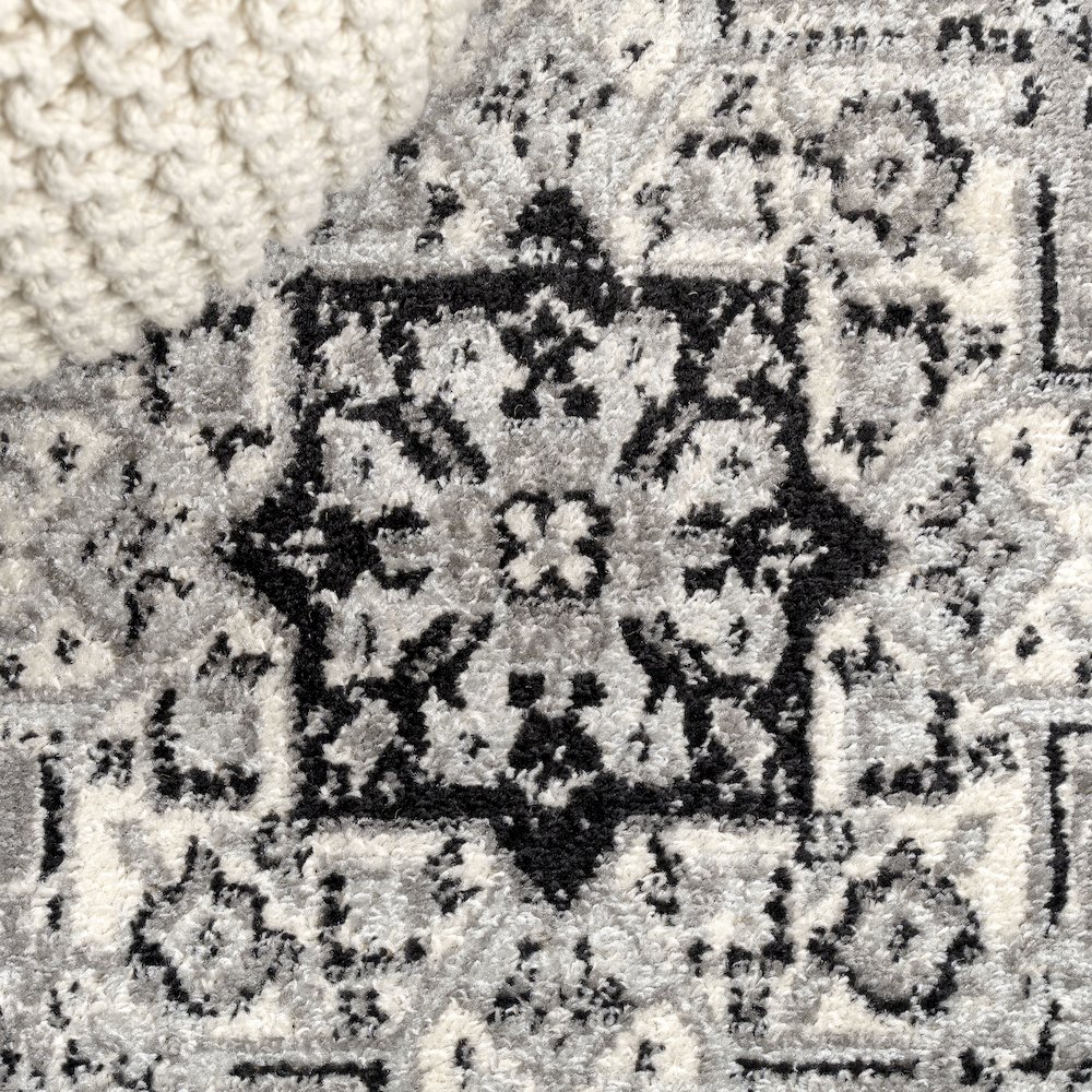 Inigo Cottage Medallion Area Rug. Picture 4
