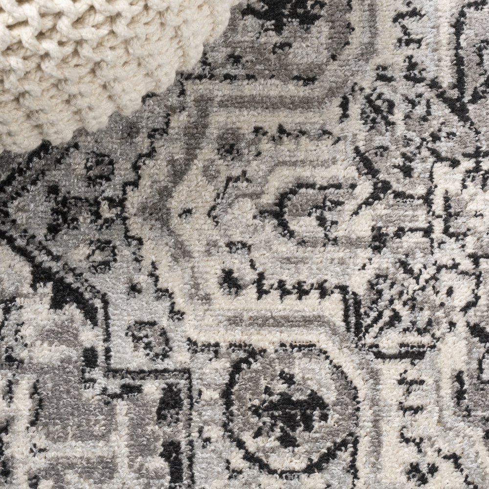Denia Ornate Geometric Medallion Area Rug. Picture 4