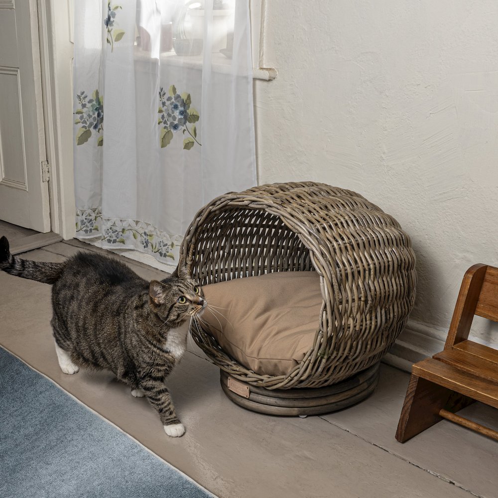 Socket Dome Bohemian Handwoven Rattan Cat Bed With Machine-Washable Cushion. Picture 1
