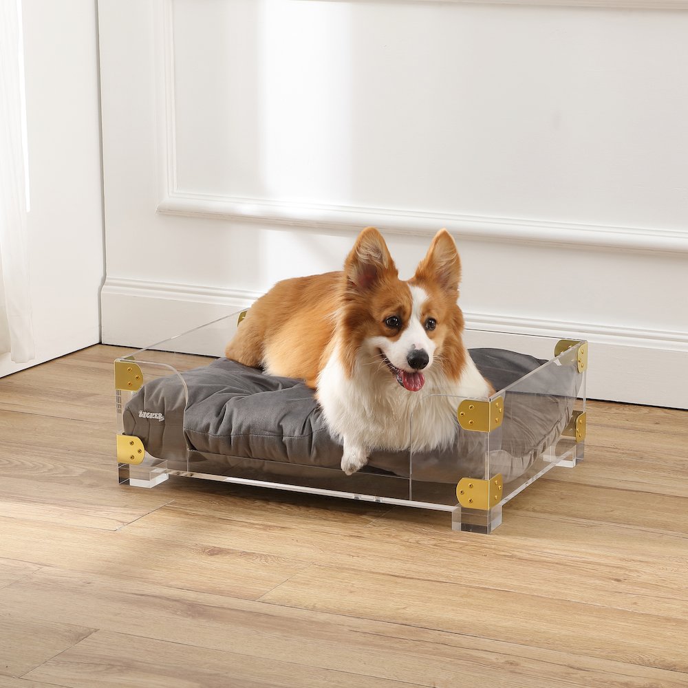Haines Small/Medium Modern Lucite Velvet Pet Bed with Washable Cushion. Picture 1